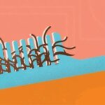 Why the Keto Diet Is Making Your Hair Fall Out (and How to Stop It)